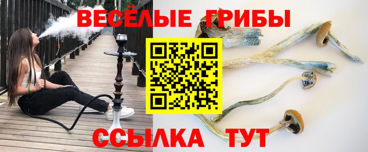 Псилоцибиновые грибы ЛСД  Вход с VPN  Красногорск 